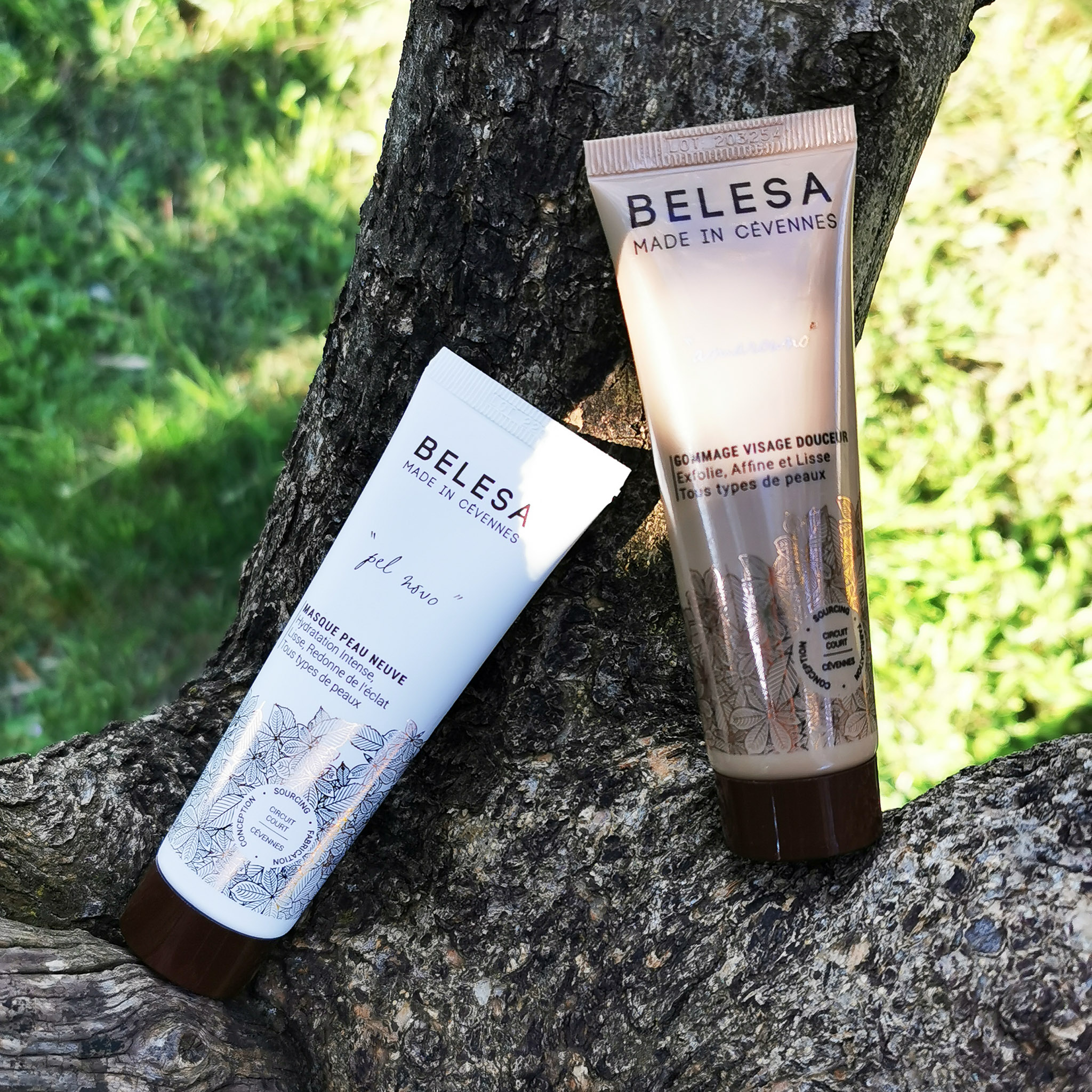 20220405-IMG_20220405_091916