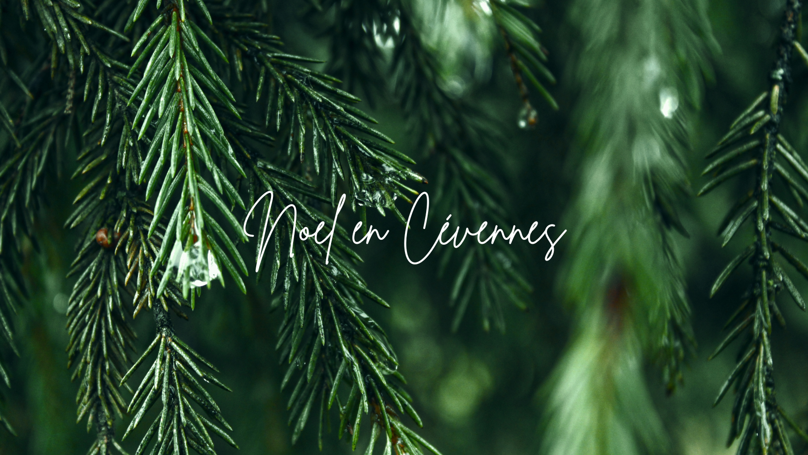 Noel-en-Cevennes